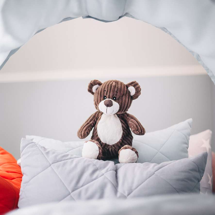 Teddybär Teddybär