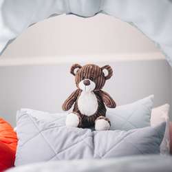 Teddybär Teddybär